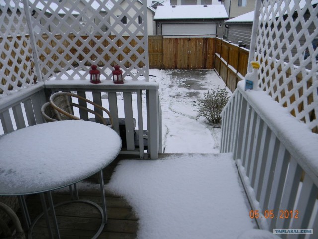 Это Калгари,сынок.