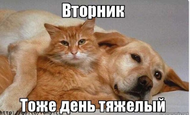 Что умеют современные девушки?