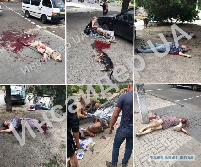 ВСУ обстреляли поселок Сачковичи в Брянской области