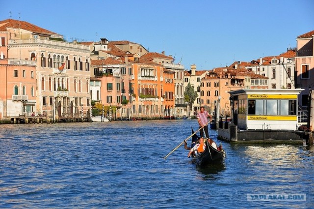 Любовь с первого взгляда