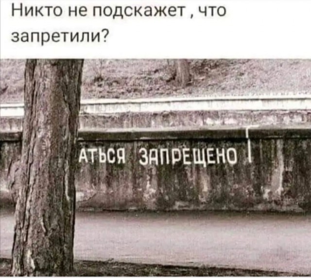 Так себе картинки 06.08.22