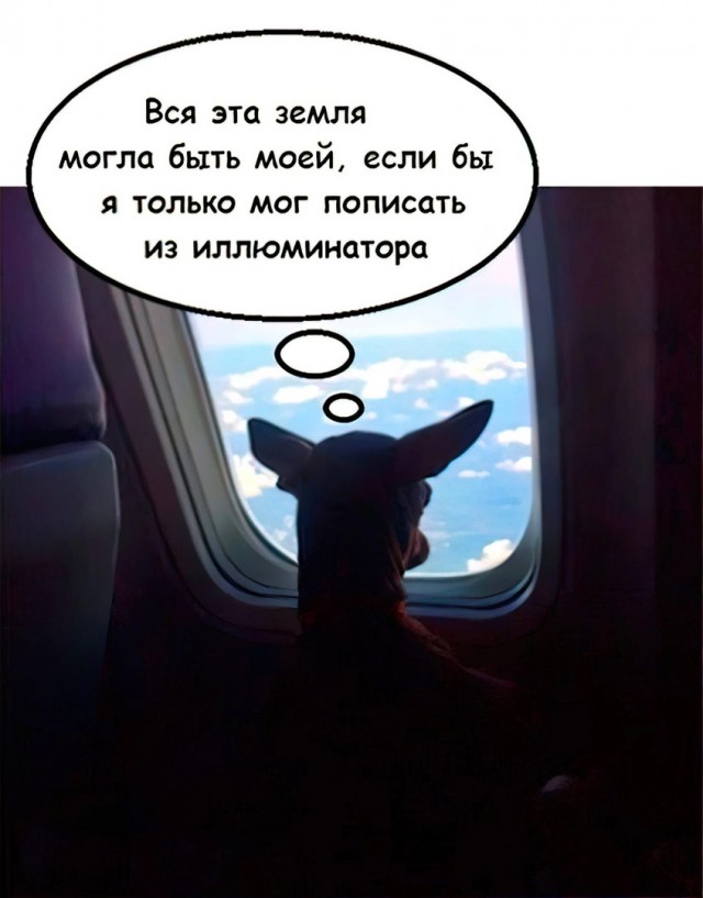 Так себе картинки 19.10.22