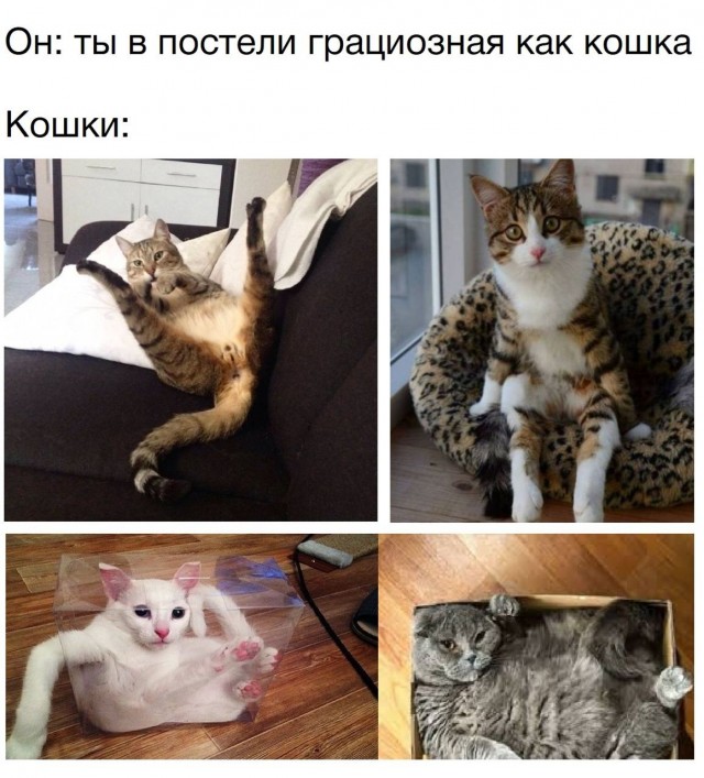Немного мемчиков. Для взрослых. Часть 21