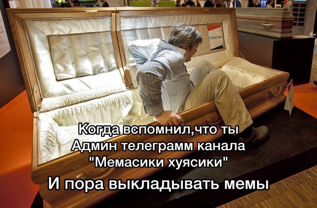 Весёлый полтишок 10.11.22