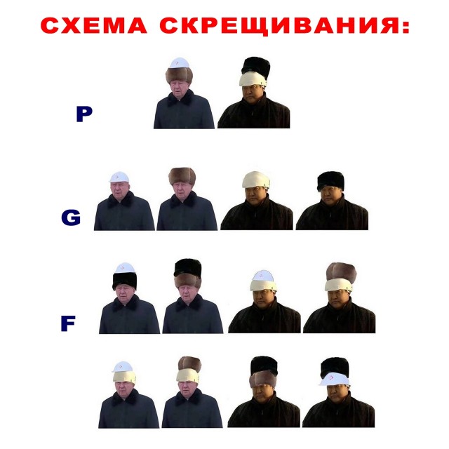 Немного картинок для настроения - 129