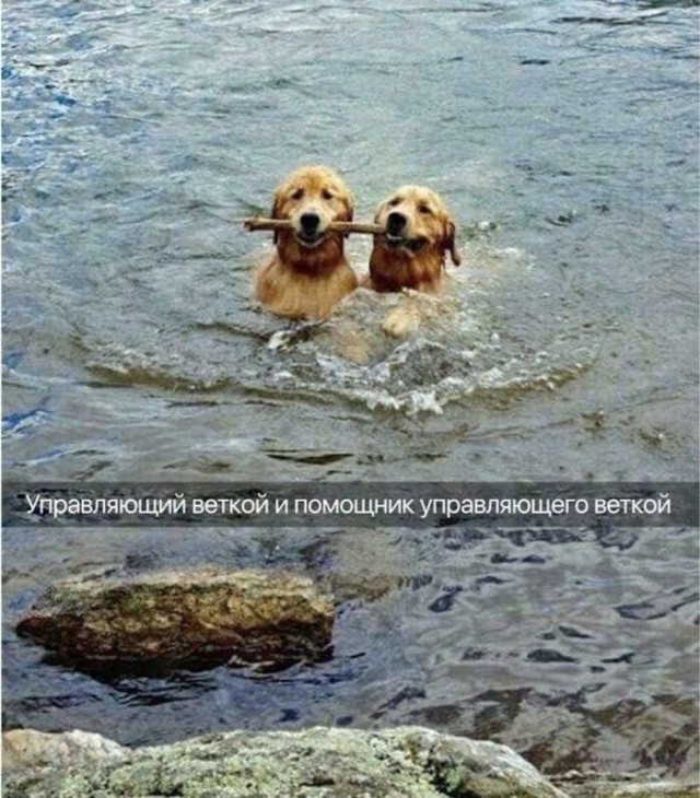 Всего понемногу. Часть 10