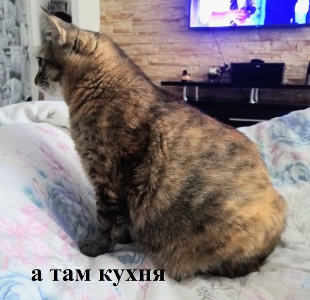 Дождалась