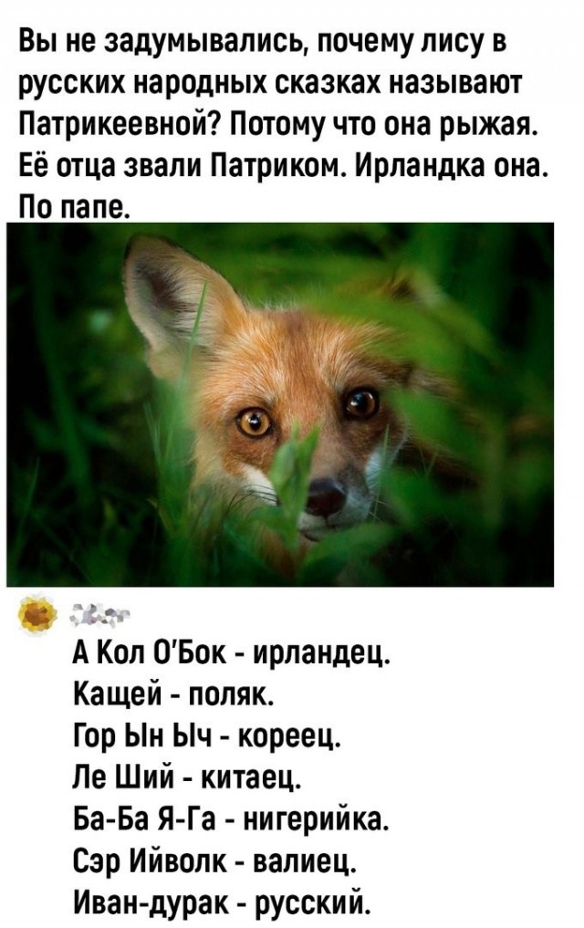 Народная меДИЧина 2017