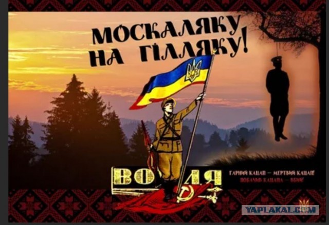 На Горловском направлении два десятка солдат ВСУ сдались в плен