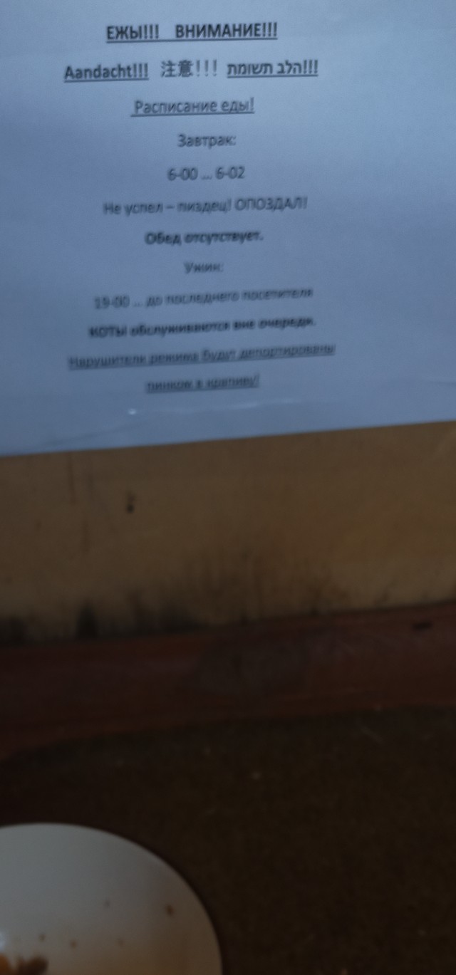 Поздний ужин сильной независимой женщины