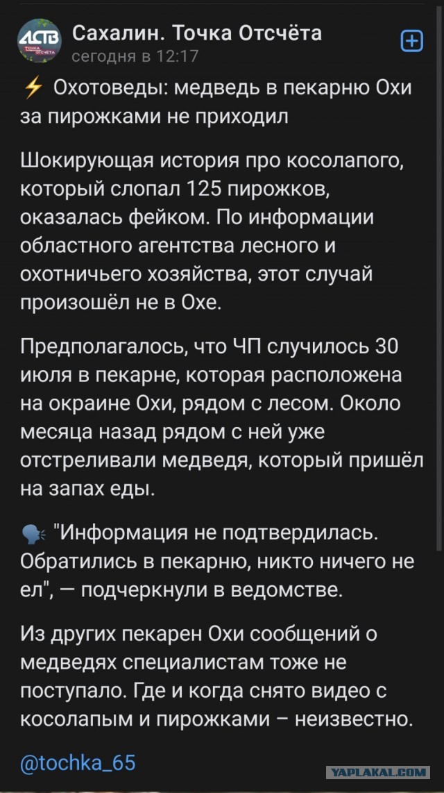 На Сахалине медведь пробрался в придорожную пекарню и съел 125 пирожков.