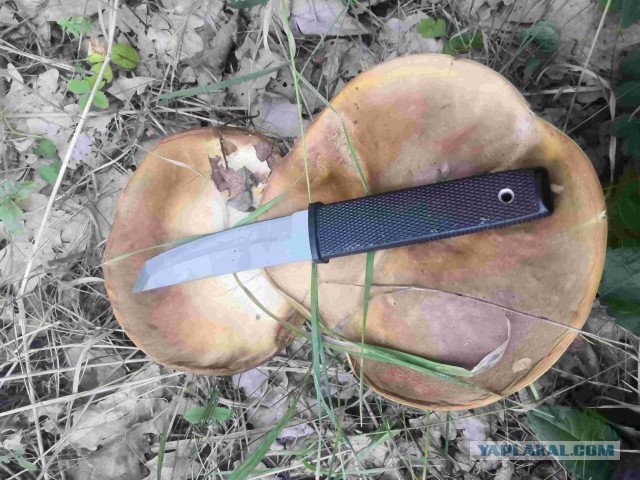 Перекличка грибников