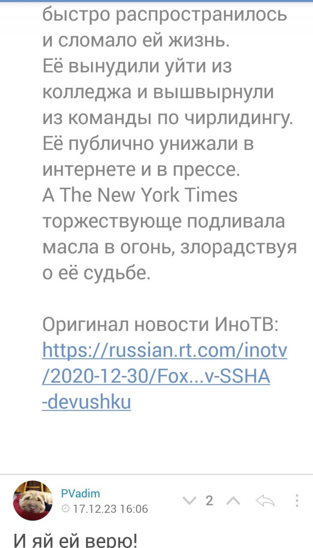 Кто же этот таинственный воришка?!