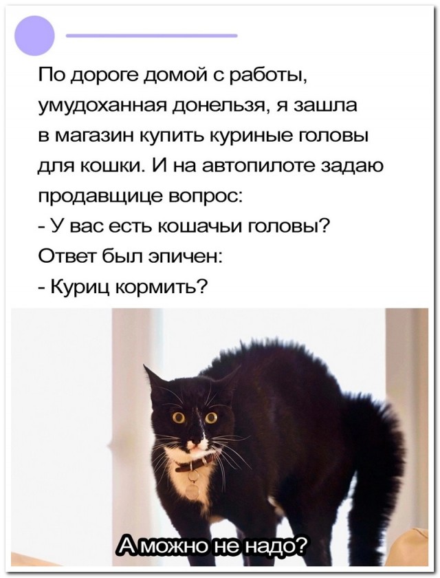 Забавные комментарии из социальных сетей 08.01.24