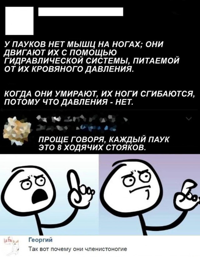 Нуштош 02.02.2024
