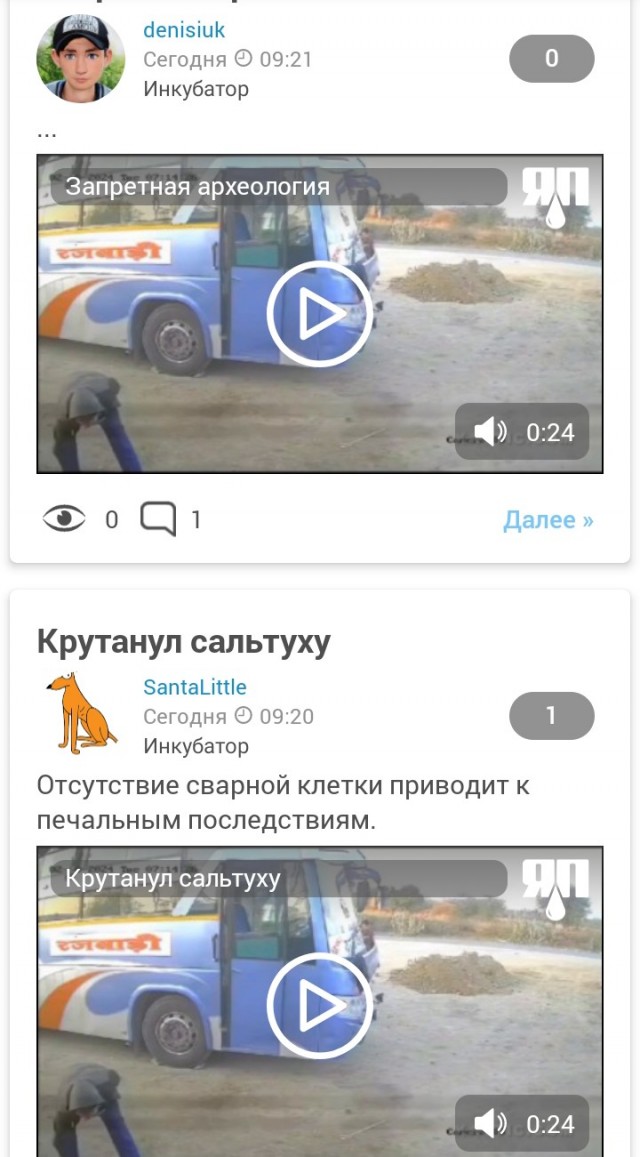 Сальтуха
