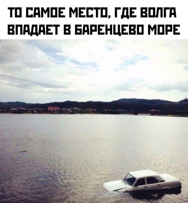 Весёлый полтишок 04.03.24