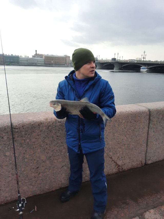 Как купались в Москве-реке
