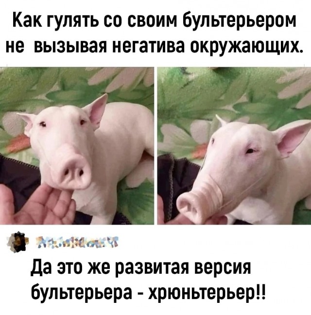 Так себе картинки 14.04.24