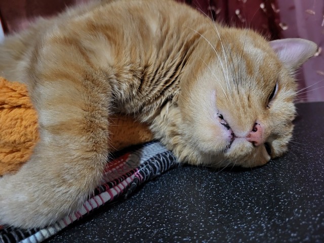 Коть, тебе нормально?