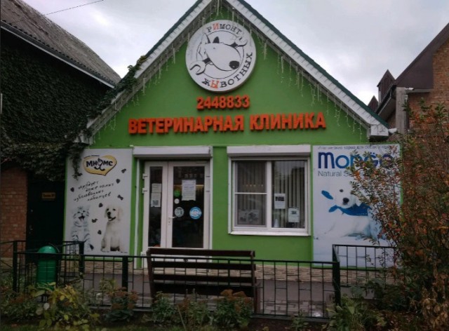 Никакие картинки