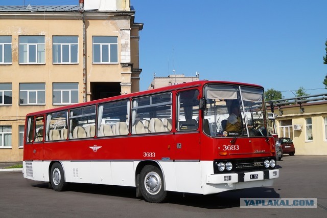 Просто ламповые фото Ikarus, разные