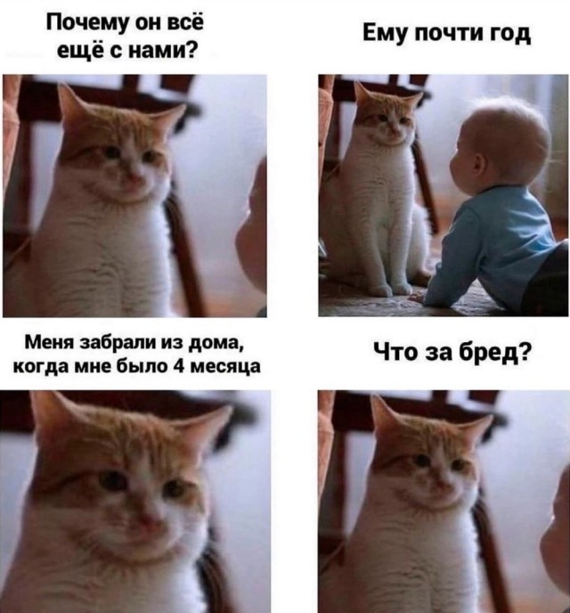 Быстрое деградирование