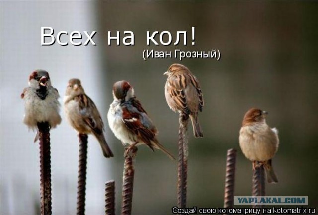 Сталина на всех хватит