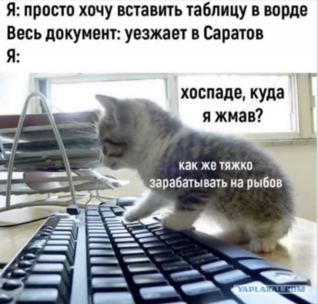Начинаем неделю со страданий...