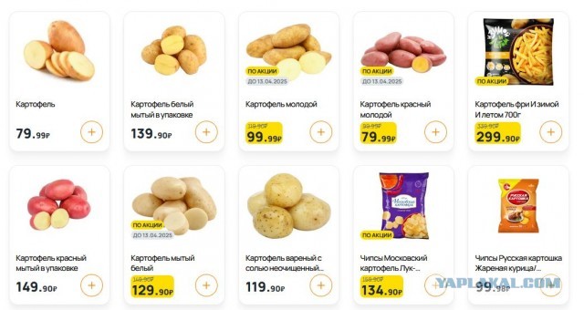 Картошка, новый рекорд.