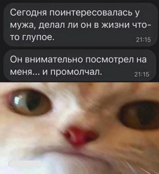 Так себе картинки 29.04.25