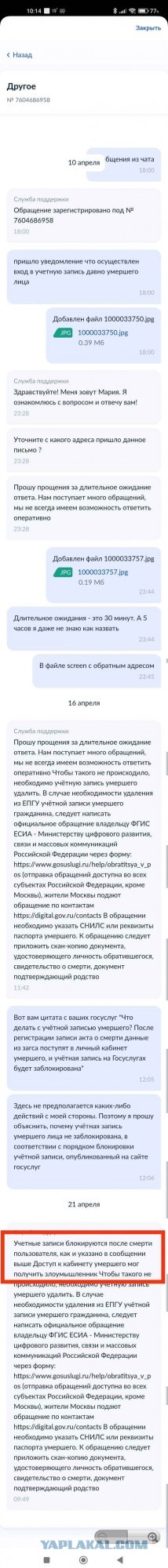 Дырявые Госуслуги