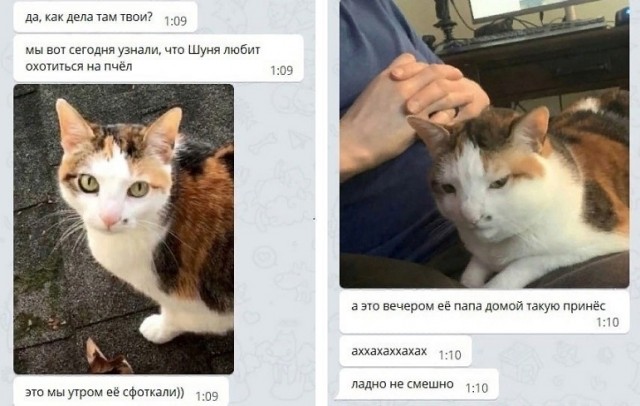 Засадил бы?