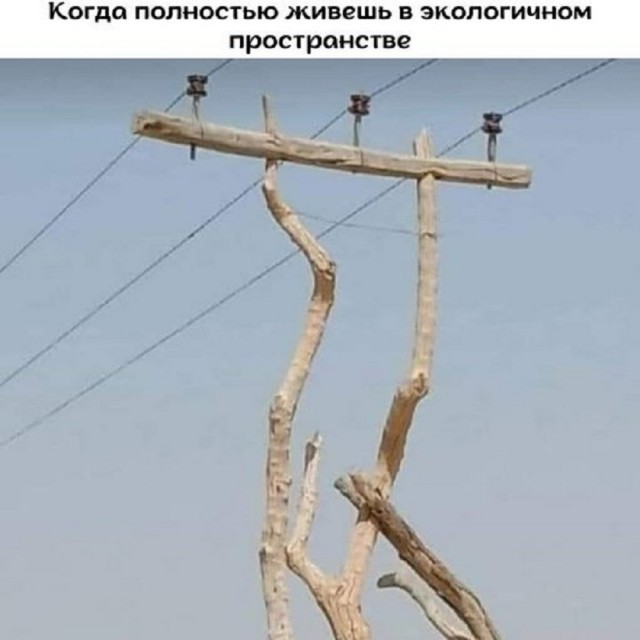 Так себе картинки 14.06.25