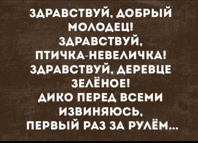 Нимношка картинкоф на субботу
