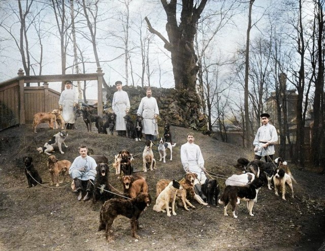 Российская империя в фотографиях. Красочная