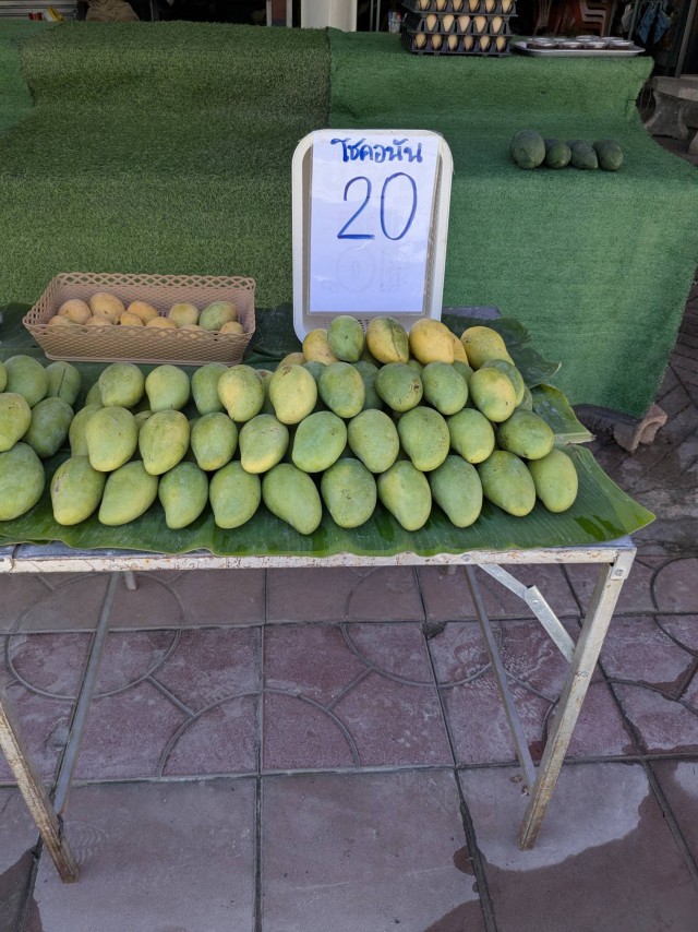 Мое веселое азиатское турне в поисках поперек 18+