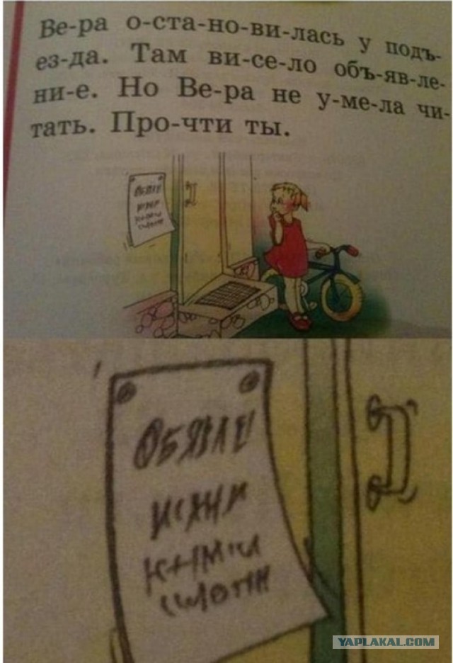 12-летнее обучение в школах хотят ввести в России