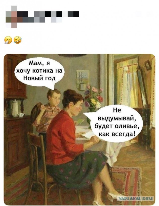 Кота зажарили в духовке