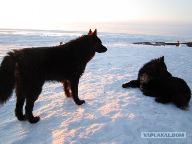 Cтанция Валькаркай