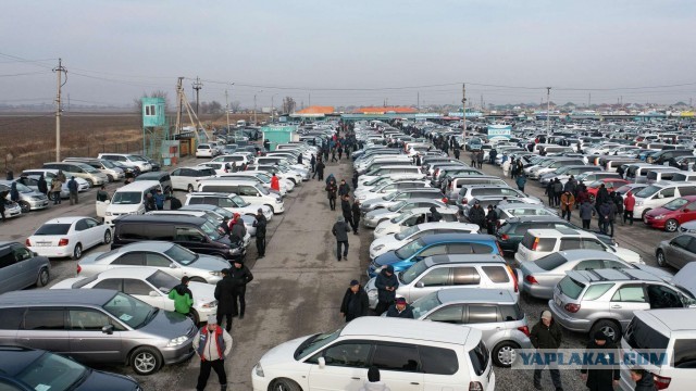 Новые правила экспорта автомобилей из Китая с 1.01.26 опустошат рынок авто в России