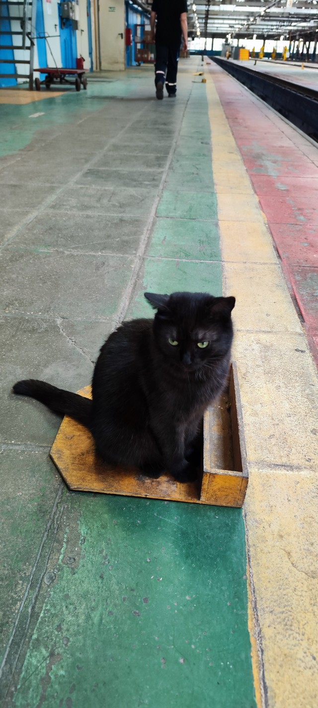 Нах*й ваших додобонь