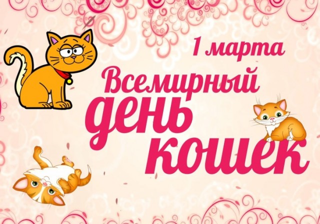 Сегодня праздник у кошки