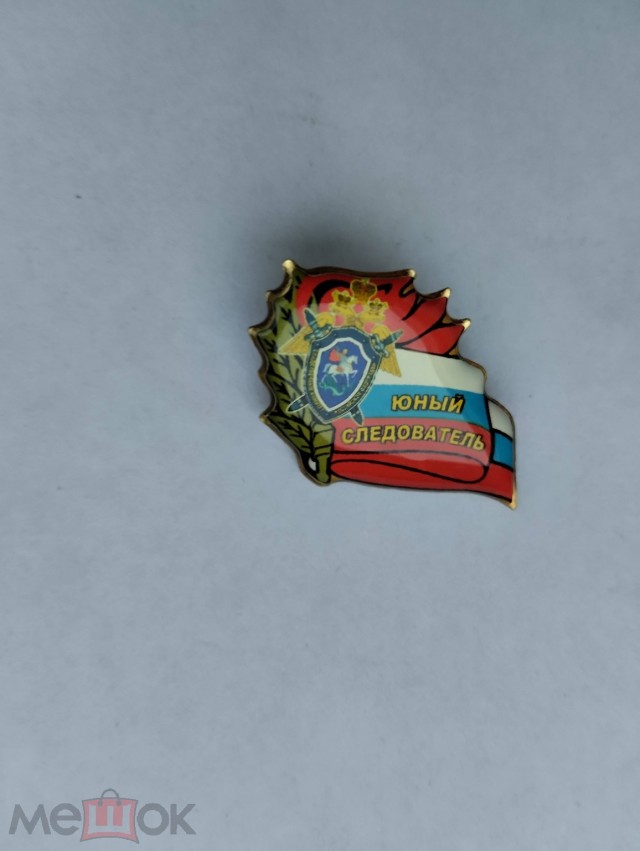 Главу союза «Юный следователь» арестовали по делу о мошенничестве