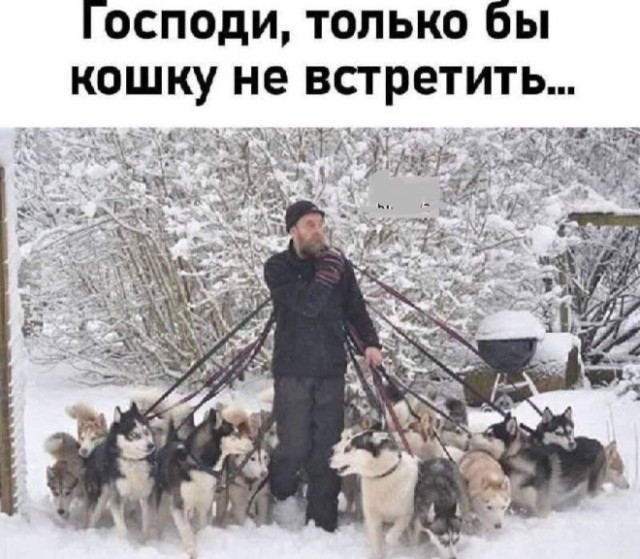 Картиночки, баянчики 14 марта