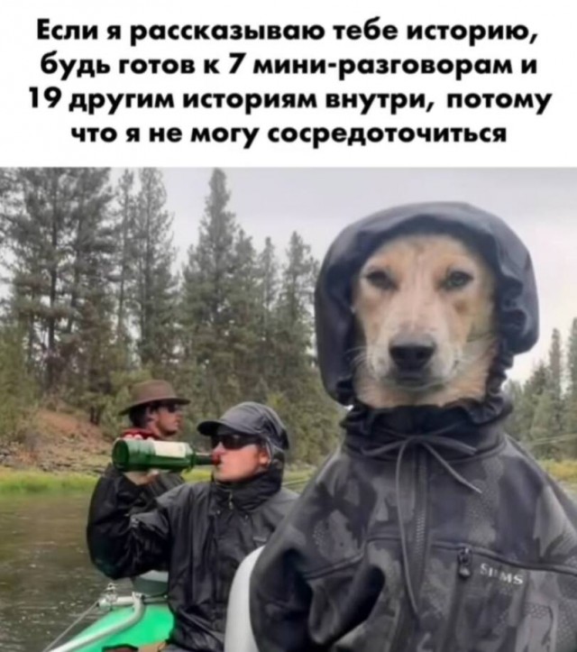 Картиночки, баянчики 28 марта