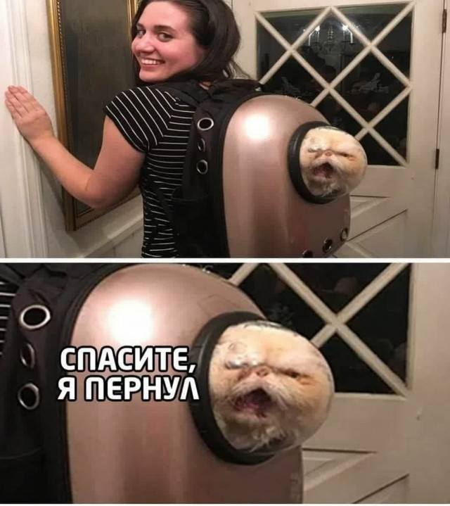 Ты кому сигналишь дядя?