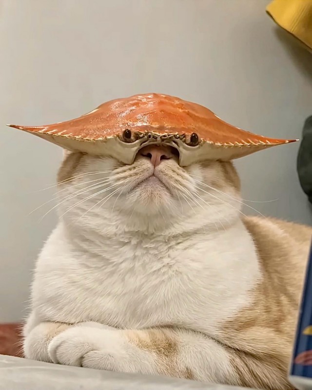 Деградация