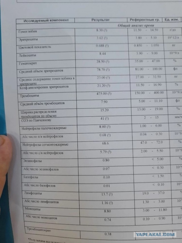 Не дать растаять Снегурчке. Нужна помощь всесильного Япа.