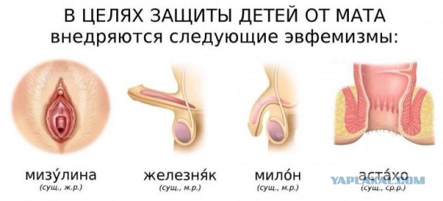 По факту оскорблений в Интернете Мизулиной